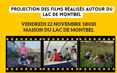 Projection des films réalisés autour du lac de Montbel au cours de la radioscopie rurale