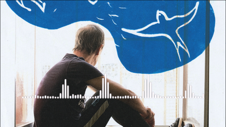 Navré, une erreur de lecture enpêche le chargement de la vidéo