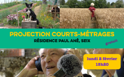 Projection de courts-métrages à Seix